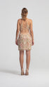 Deep Decollete Secret Mini Dress